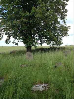 židovské náhrobky ztracené v polích