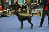 Cortina Donsa from 14th Meridian - Female Open Class