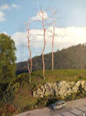 Stromy - Drátěné kostry borovic