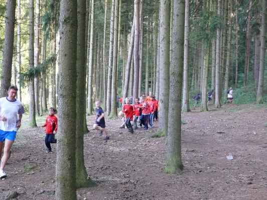 Ranní rozcvička - Hned po probuzení vyběhli kluci do lesa