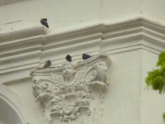 Detail - Aneb zátiší s holuby